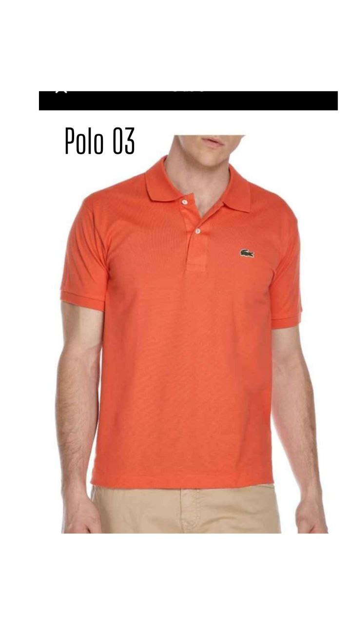 POLO 03