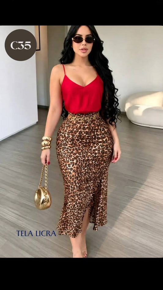 CONJUNTO C35