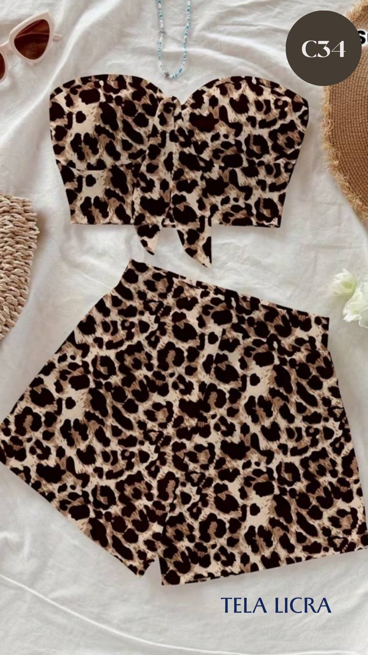 CONJUNTO C34